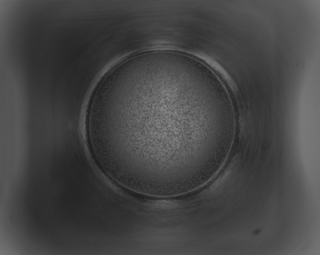 X0000103161333200808291442