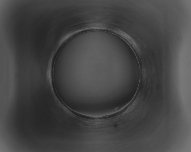 X0000103161334200808291442
