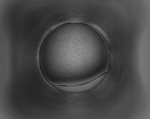 X0000103161335200808291442