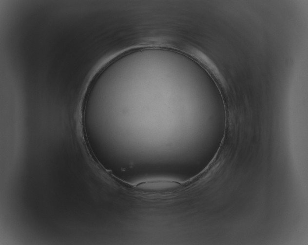 X0000103161336200808291442