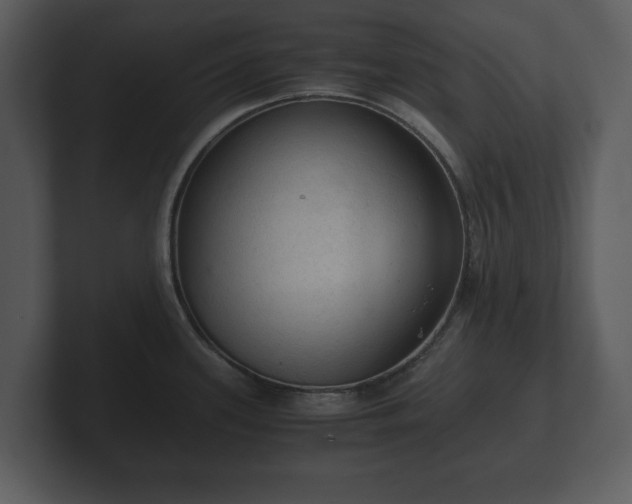 X0000103161339200808291442