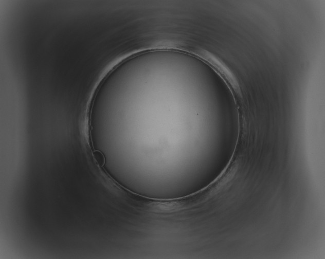 X0000103161340200808291442