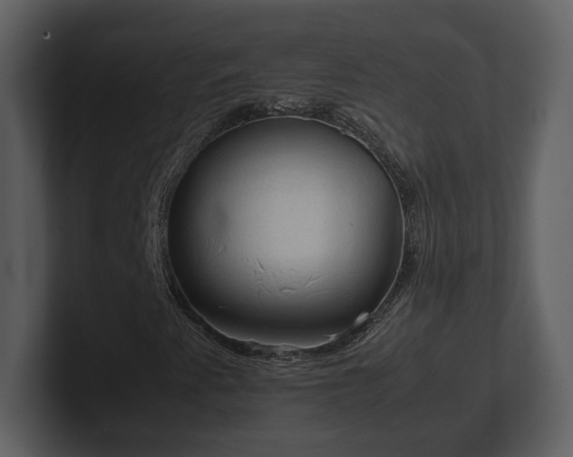 X0000103161345200808291442