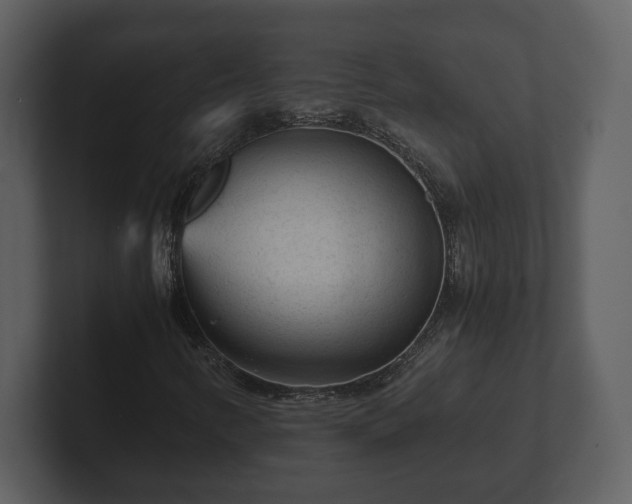 X0000103161346200808291442