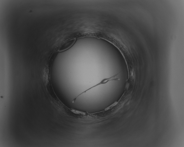 X0000103161348200808291442