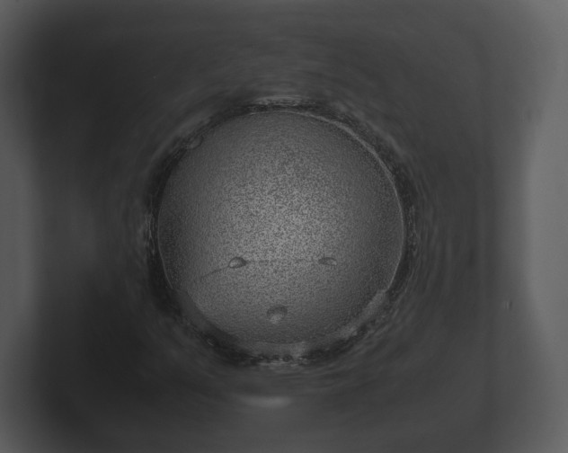 X0000103161351200808291442