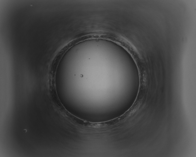 X0000103161352200808291442
