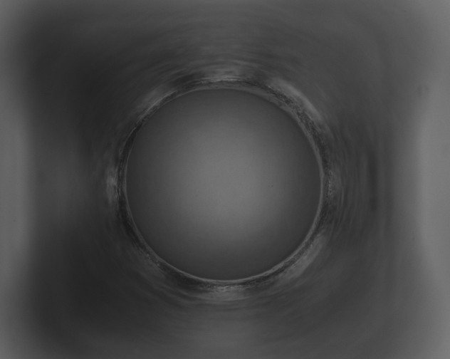 X0000103161353200808291442