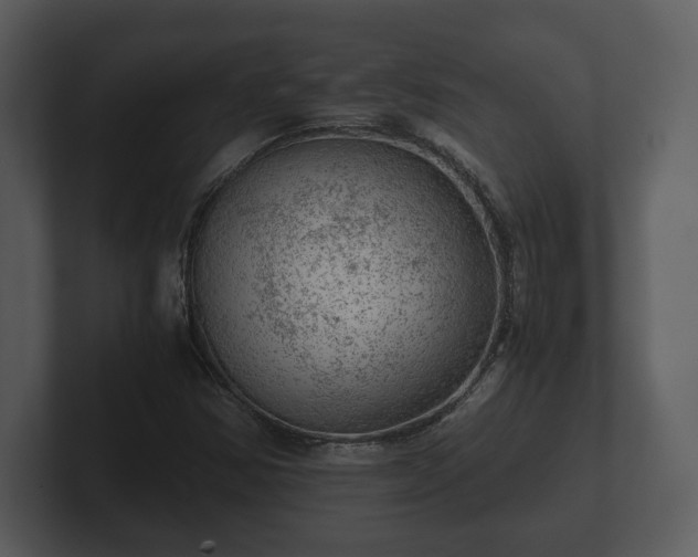 X0000103161354200808291442