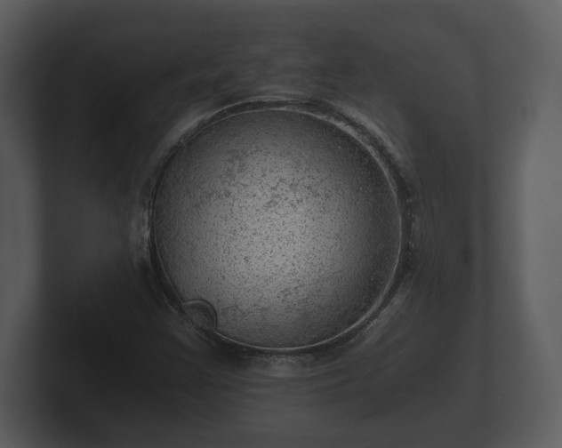 X0000103161355200808291442