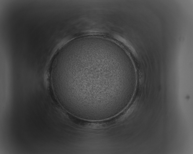 X0000103161357200808291442