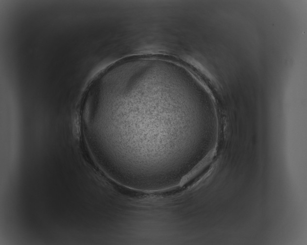 X0000103161358200808291442