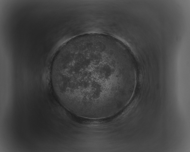 X0000103161359200808291442