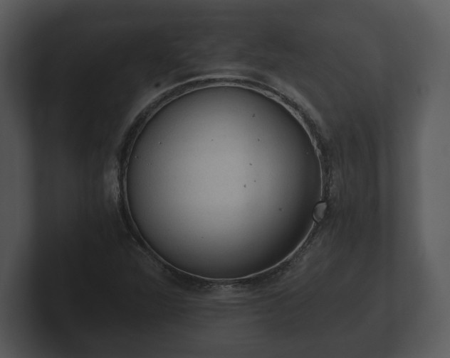 X0000103161360200808291442