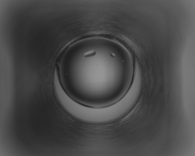 X0000103161361200808291442
