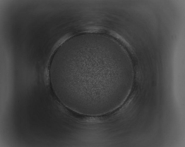X0000103161362200808291442