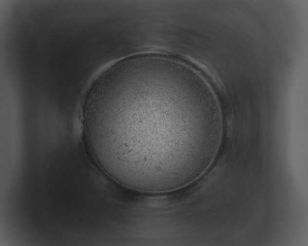 X0000103161363200808291442