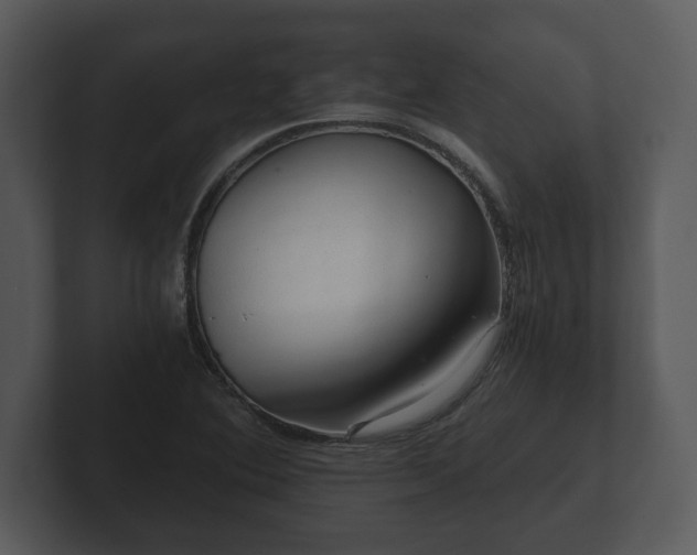 X0000103161364200808291442