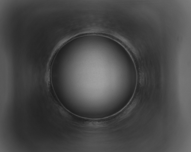 X0000103161366200808291441
