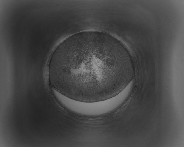X0000103161367200808291441