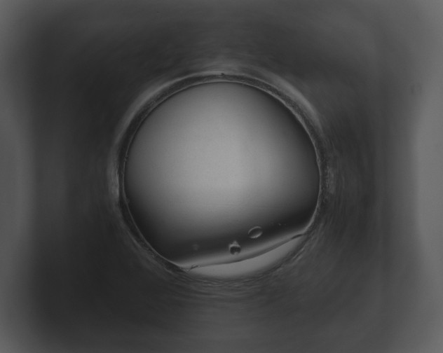 X0000103161368200808291441