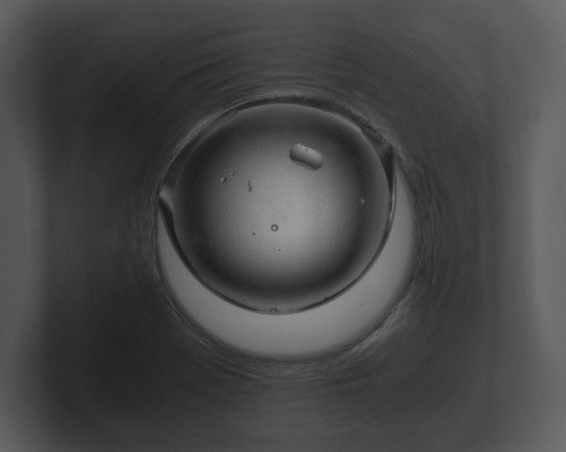X0000103161369200808291441