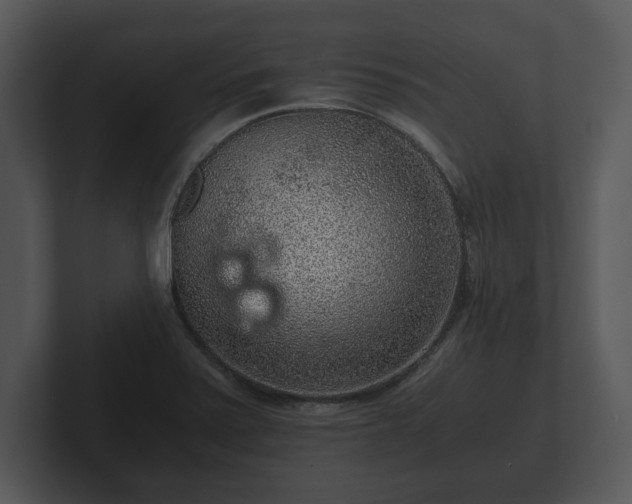 X0000103161371200808291441