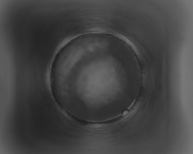 X0000103161373200808291441