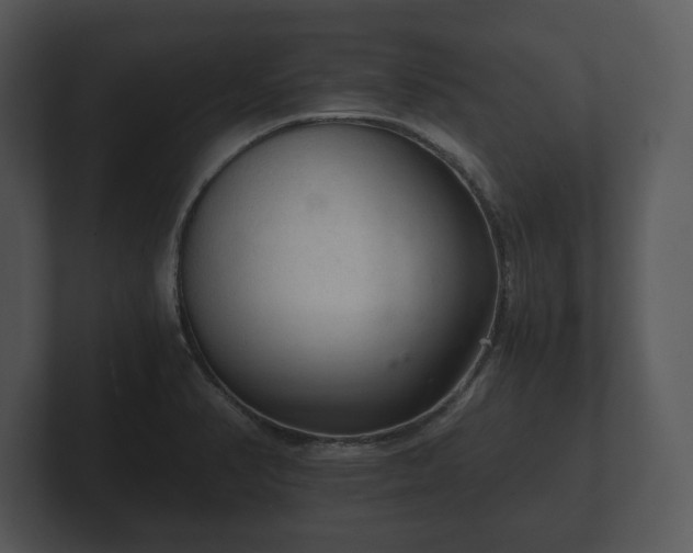 X0000103161374200808291441