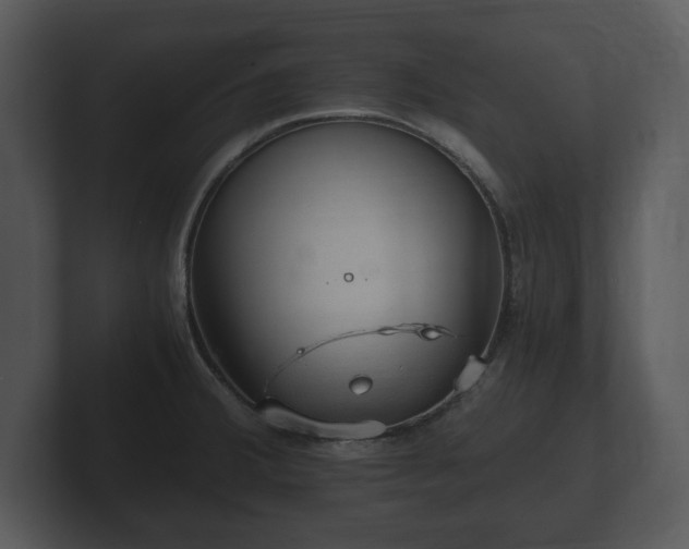 X0000103161380200808291441