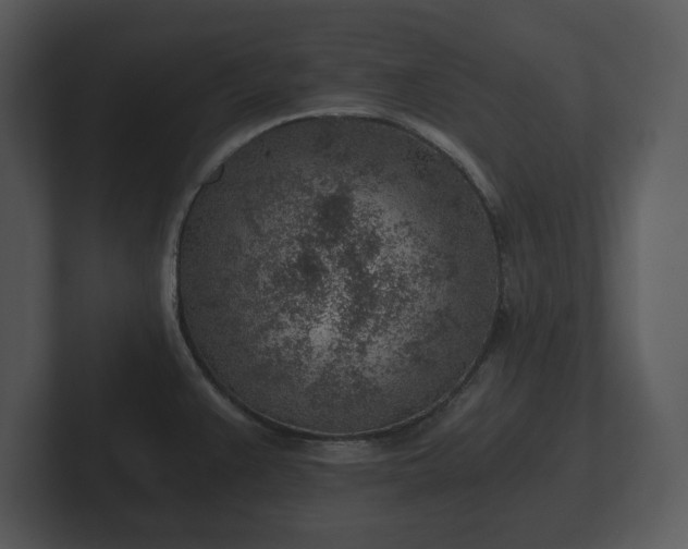 X0000103161383200808291441
