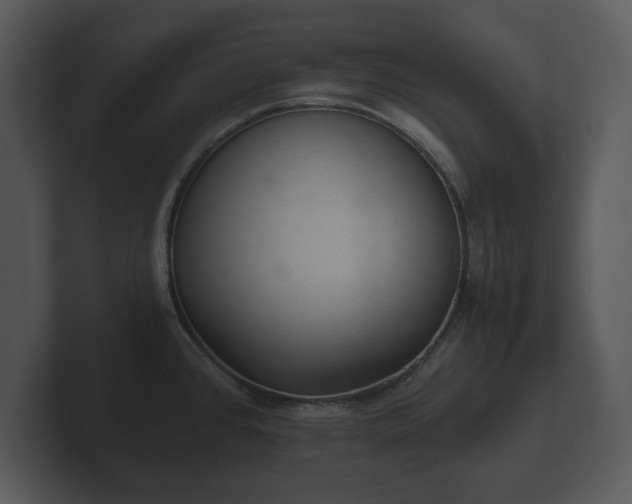 X0000103161384200808291441