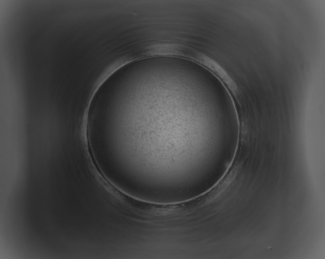 X0000103161386200808291441