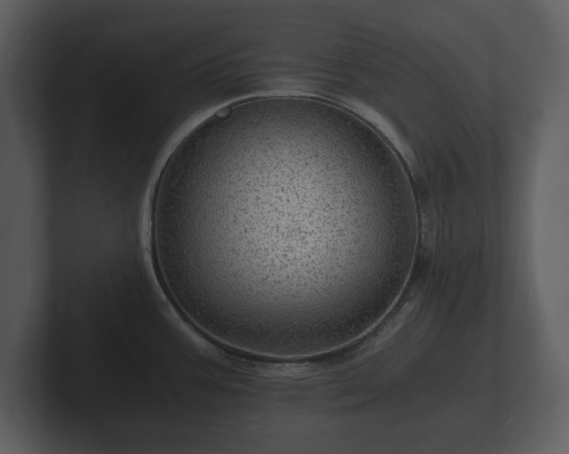 X0000103161387200808291441