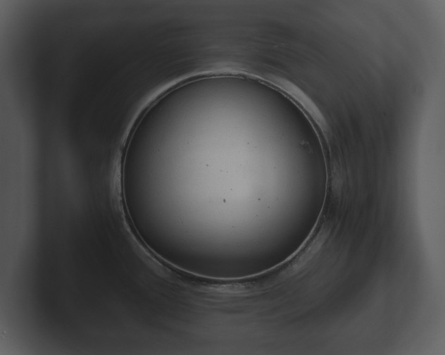 X0000103161388200808291441