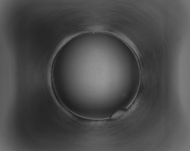 X0000103161389200808291441