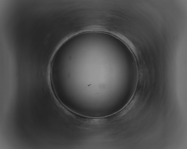 X0000103161390200808291441