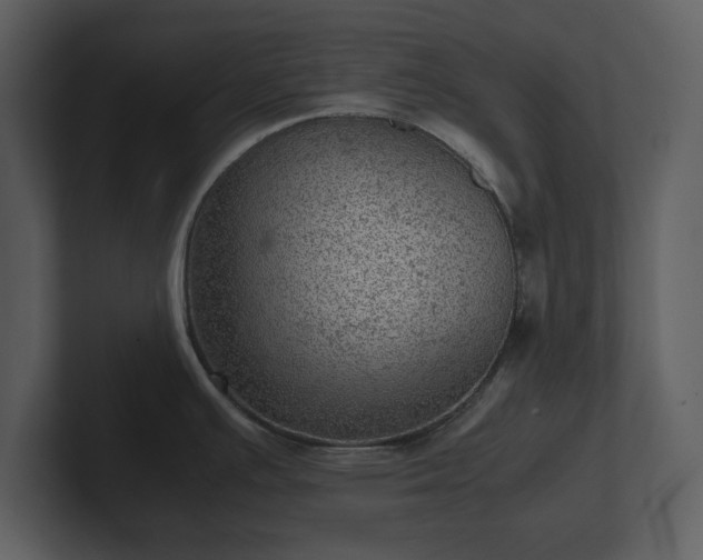 X0000103161391200808291441