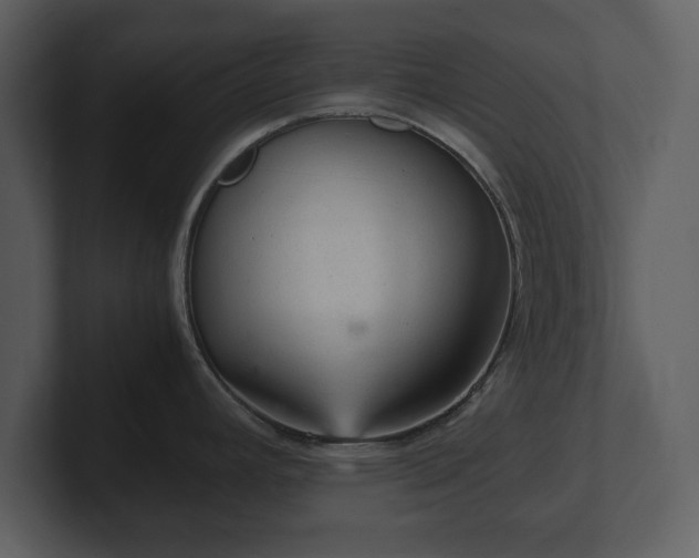 X0000103161392200808291441