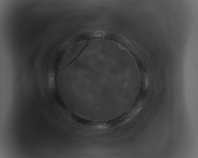X0000103161394200808291441