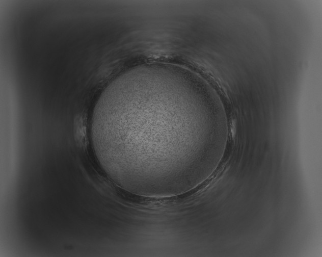 X0000103161396200808291441