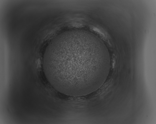 X0000103161397200808291441