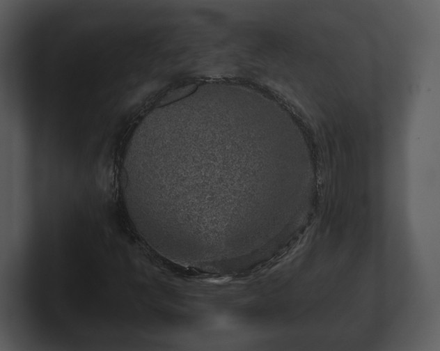 X0000103161398200808291441