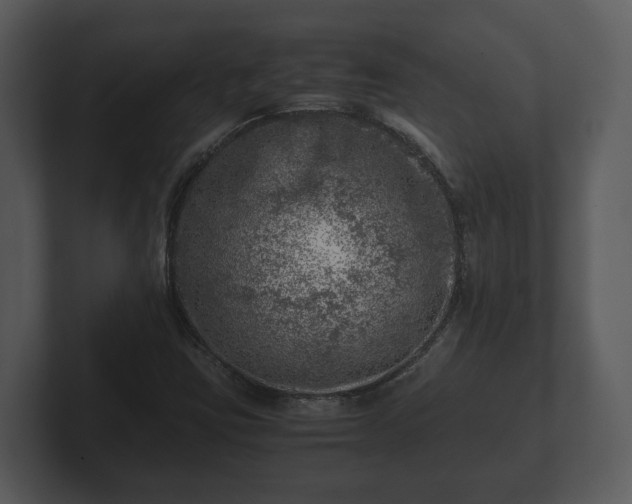 X0000103161403200808291441