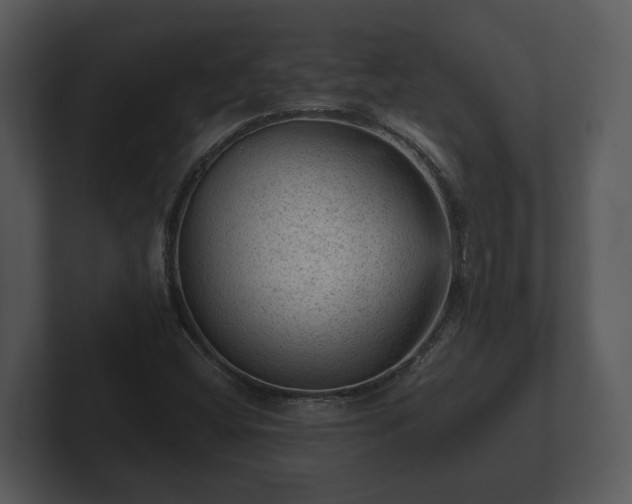X0000103161404200808291441