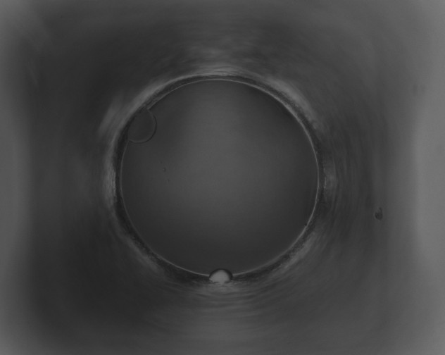 X0000103161414200808291441