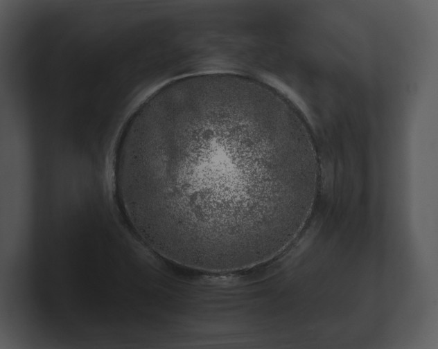 X0000103161415200808291441