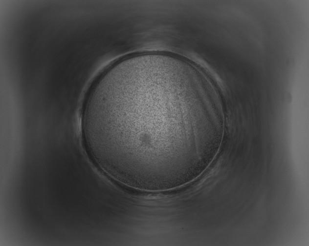 X0000103161416200808291441