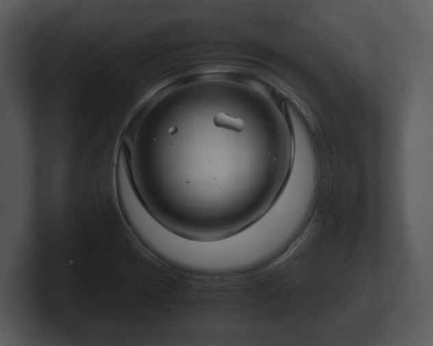 X0000103161417200808291441