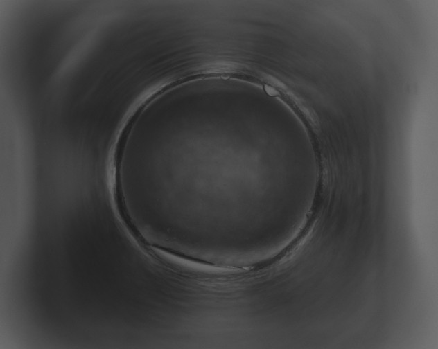 X0000103161418200808291441